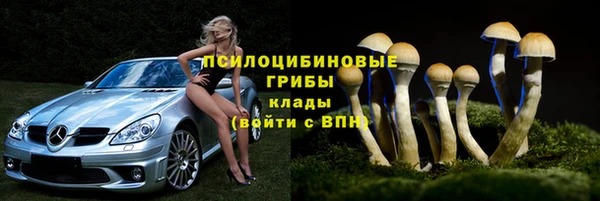 ешки Алзамай