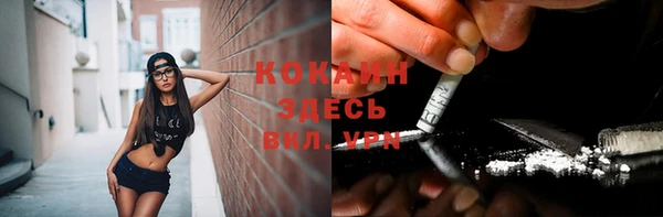 бошки Абинск
