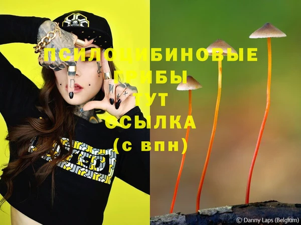 кокаин перу Абаза