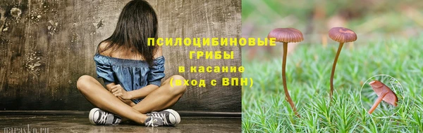 бошки Абинск