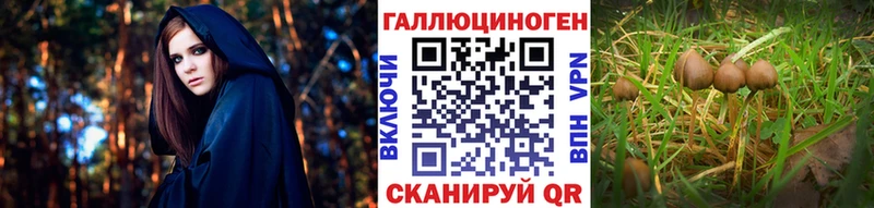 продажа наркотиков  Николаевск-на-Амуре  Галлюциногенные грибы MAGIC MUSHROOMS 